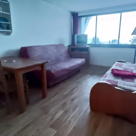 Appartement Reposant Nature, Super-besse, 3 Pers. - Fr-1-814-188 *