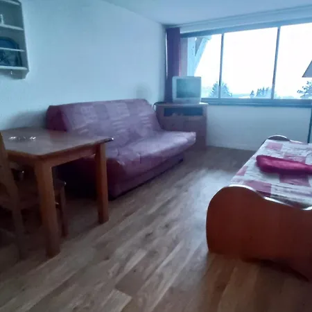 Reposant Nature, Super-besse, 3 Pers. - Fr-1-814-188 Appartement Besse-et-Saint-Anastaise