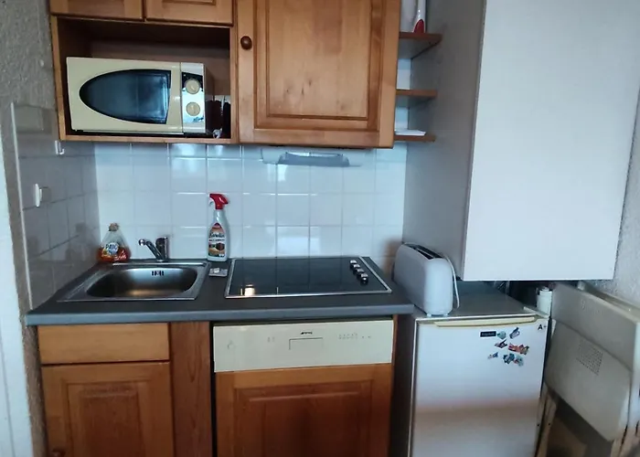 Reposant Nature, Super-besse, 3 Pers. - Fr-1-814-188 Appartement